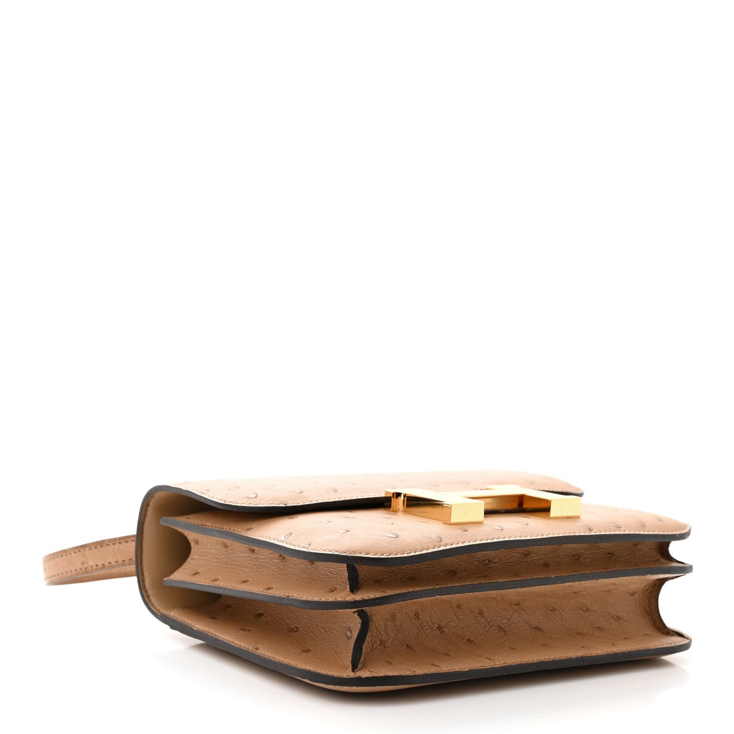 Ostrich Constance 18 Chai