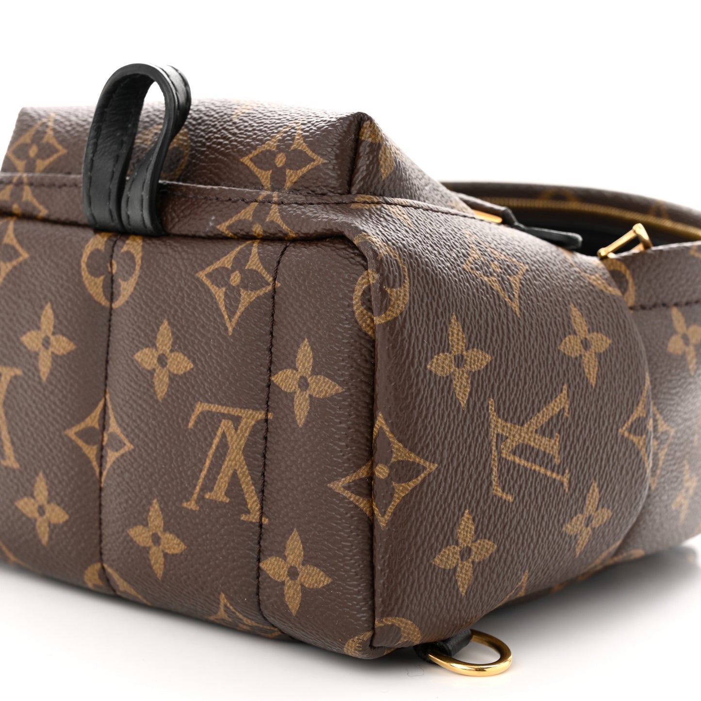 Monogram Palm Springs Backpack Mini