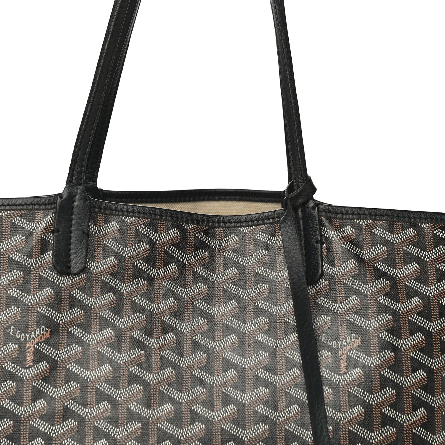 Goyard Goyardine Saint Louis PM Black 17 of 26