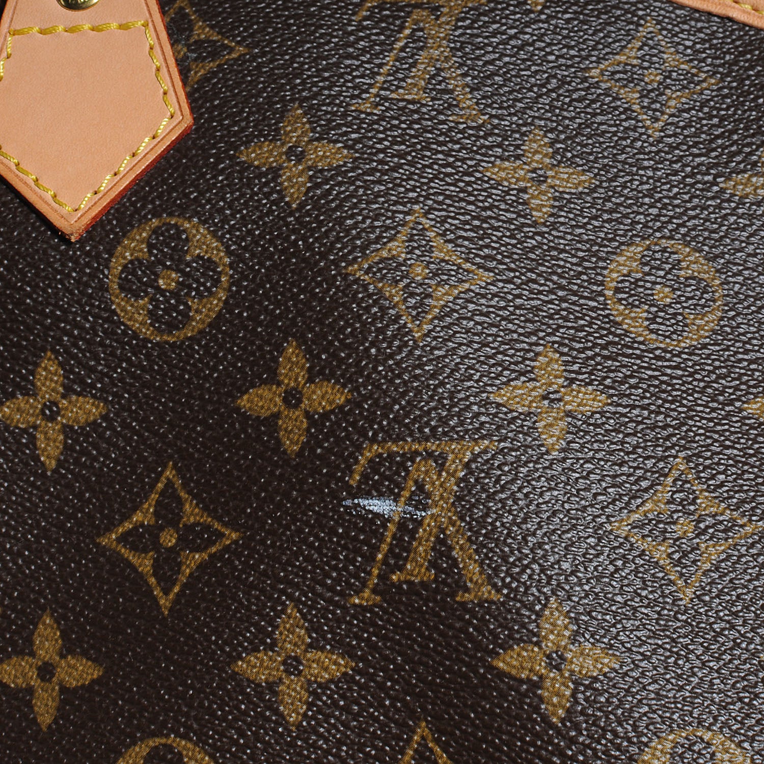 Louis Vuitton Monogram Garment Cover 5 of 10