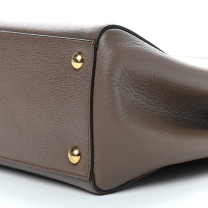Fendi Vitello Elite Flamingo Petite 2Jours Tote Seppia 11 of 11