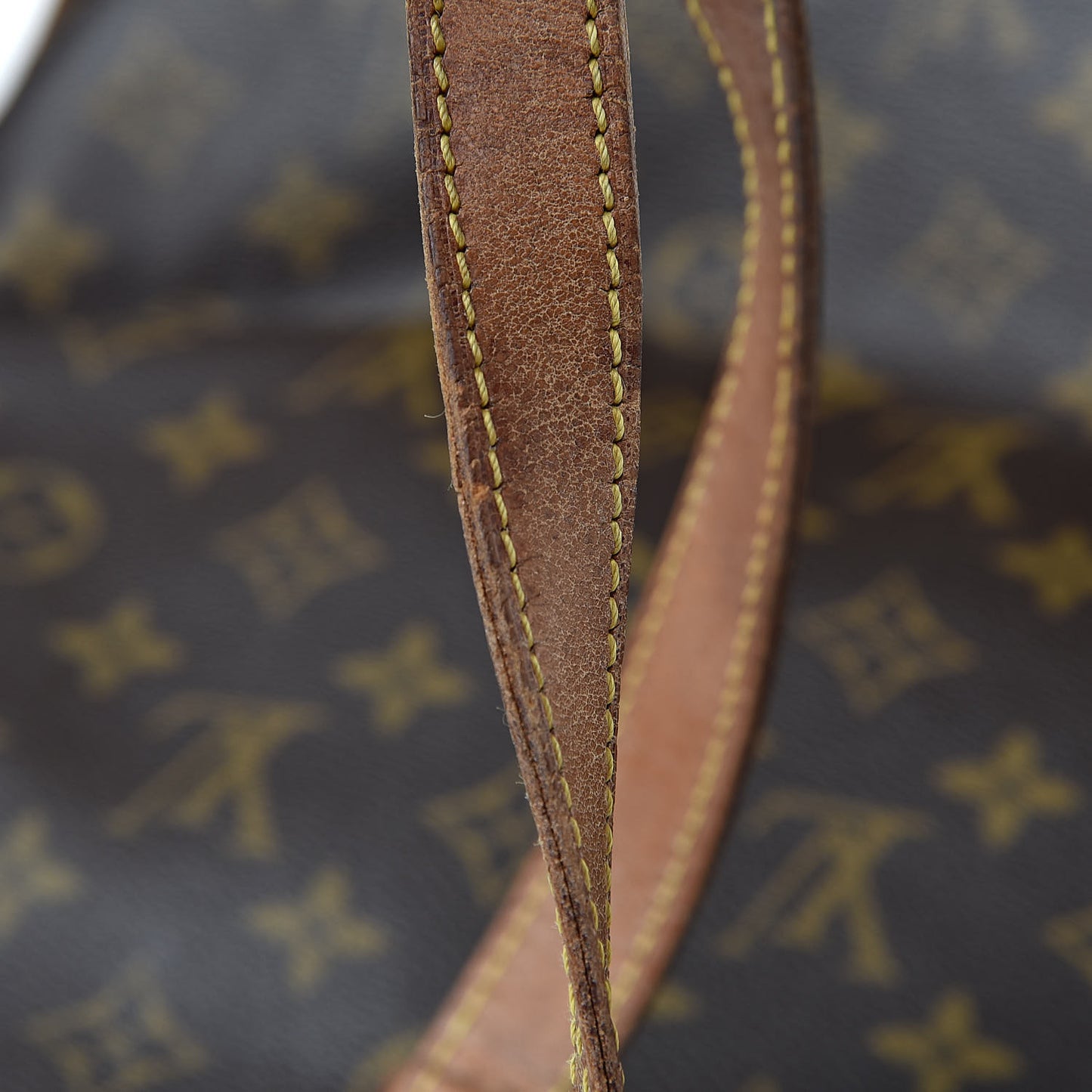 Monogram Cabas Mezzo