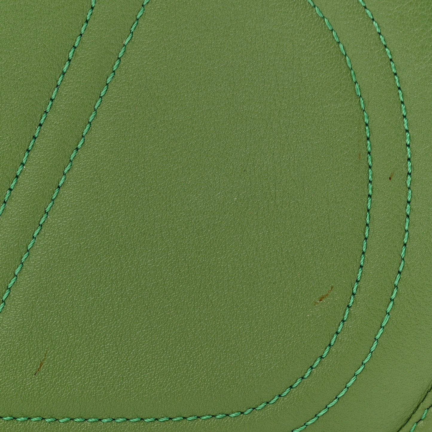 Vitello Small Logo Go Crossbody Bag Clover