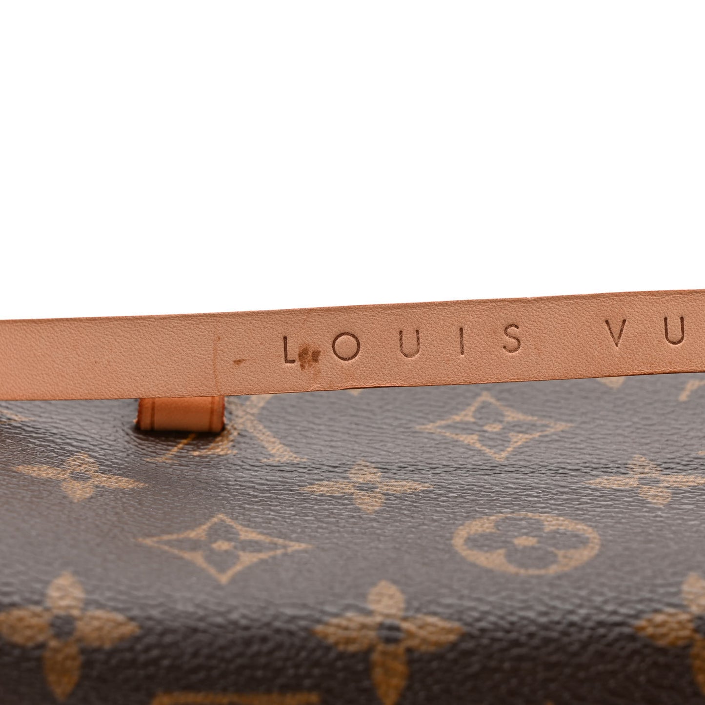 Monogram Pochette Florentine M