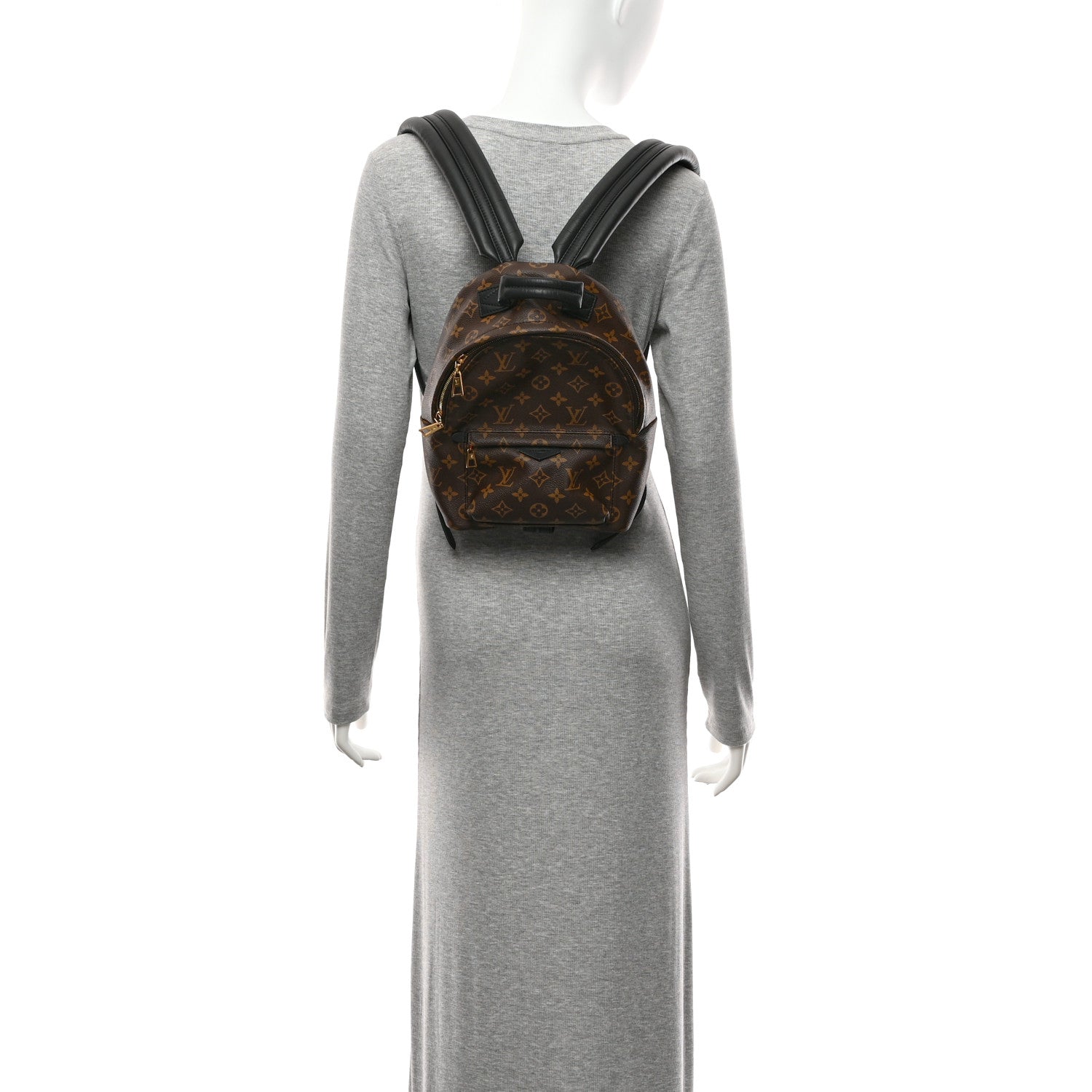 Louis Vuitton Monogram Palm Springs Backpack PM 2 of 10