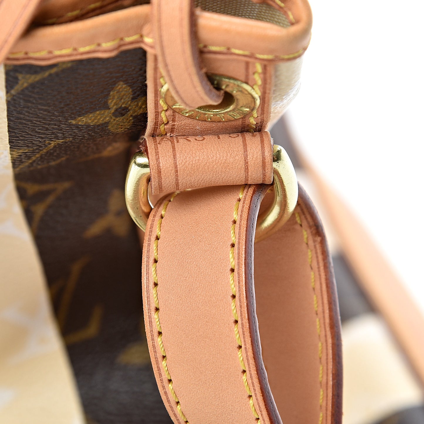 Monogram Rayures Noe