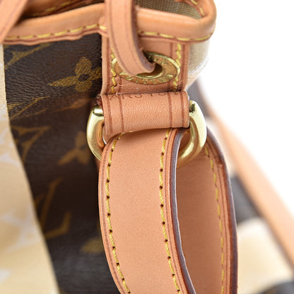 Louis Vuitton Monogram Rayures Noe 7 of 13