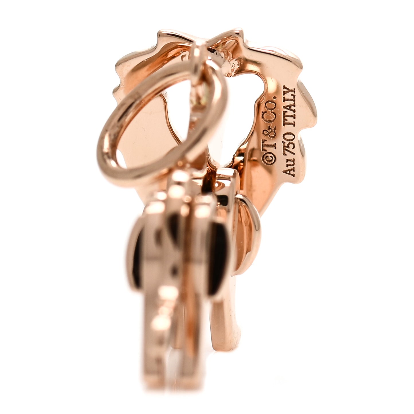 18K Rose Gold Save The Wild Lion Charm