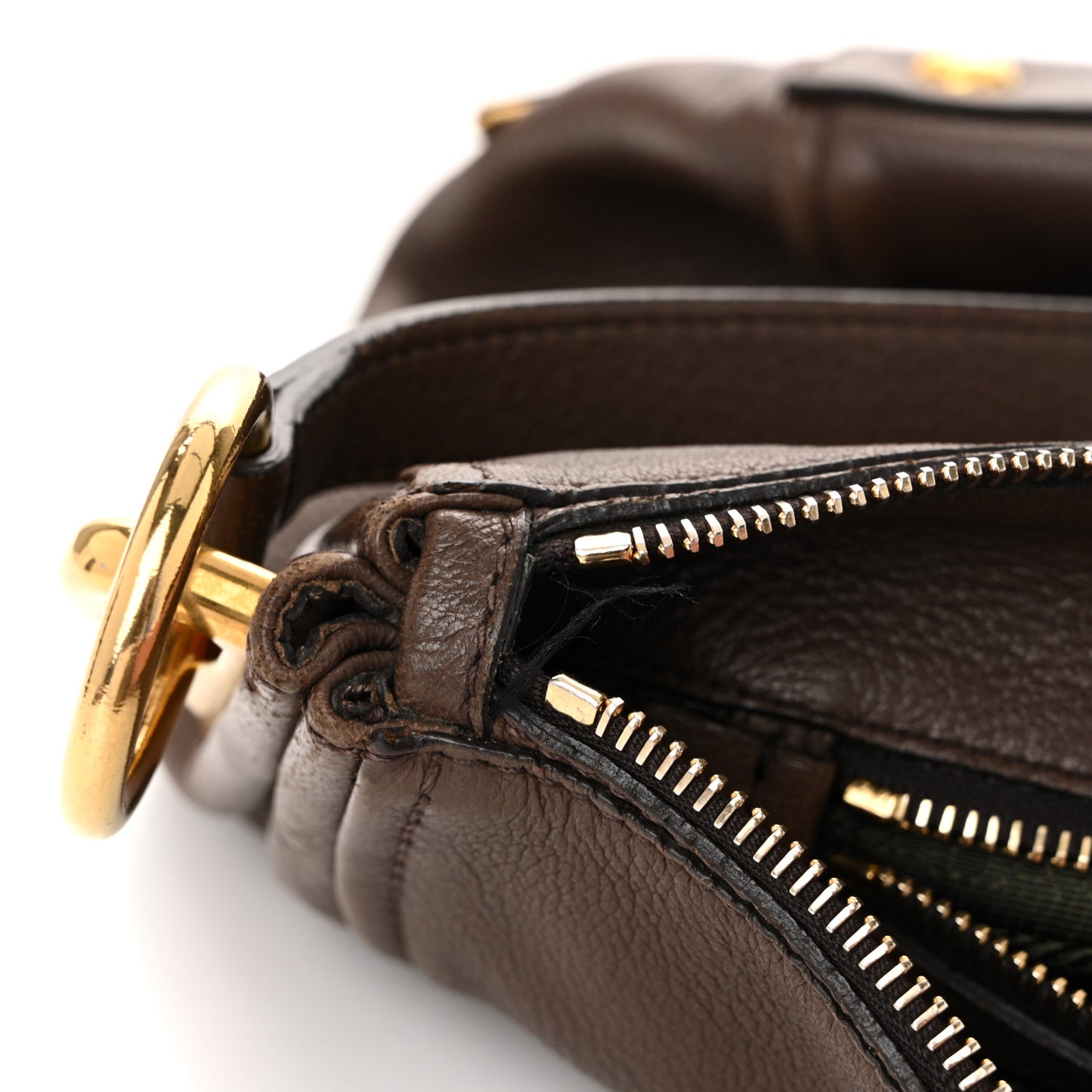 Cervo Hobo Pietra