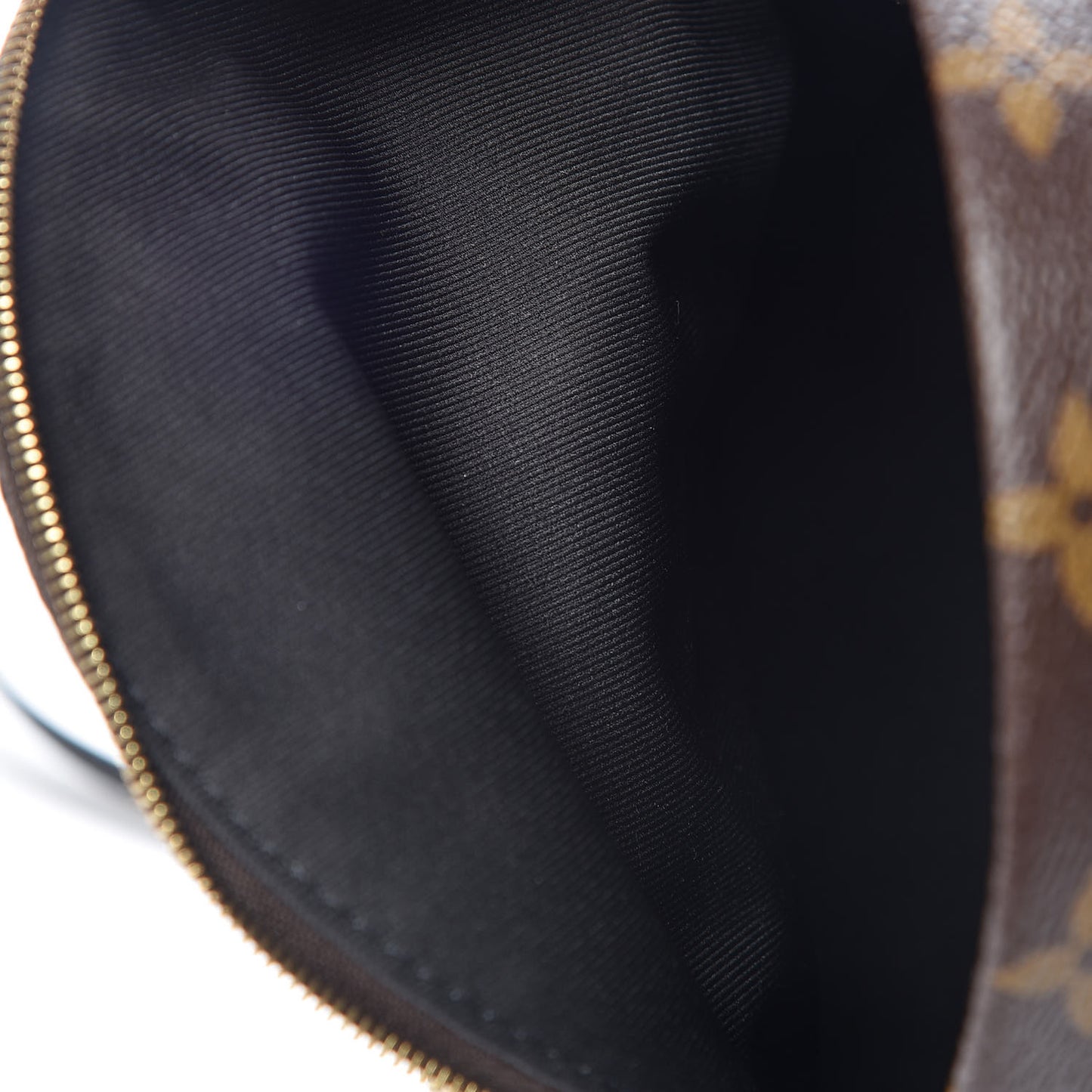 Monogram Palm Springs Backpack Mini