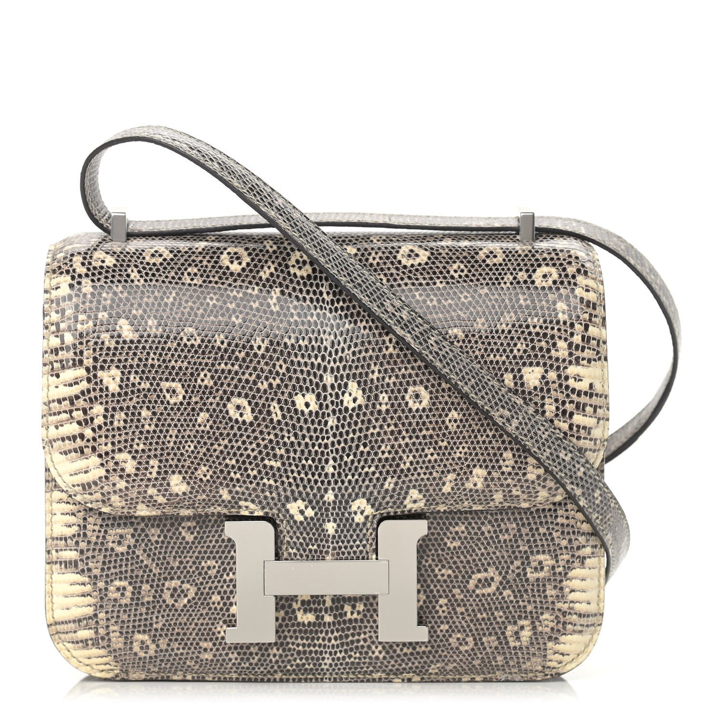 Lizard Constance 18 Ombre
