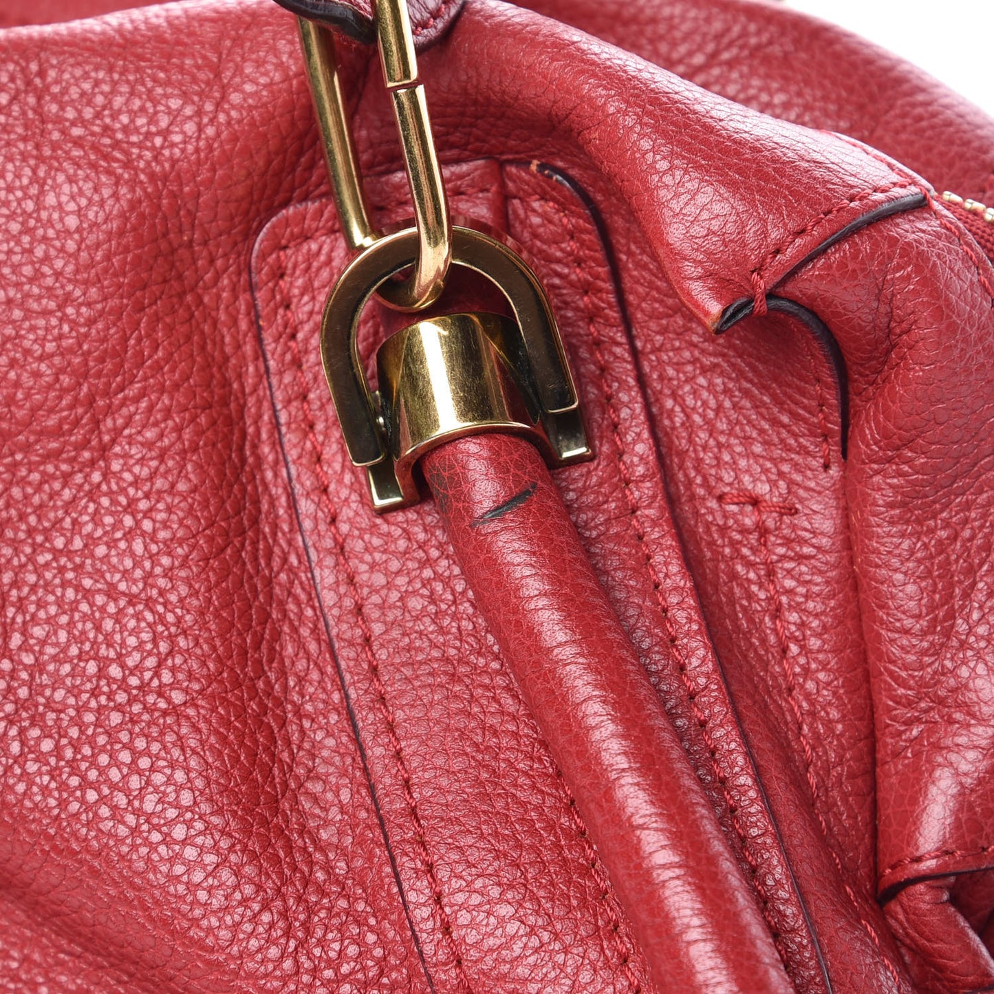 Calfskin Medium Paraty Holly Berry