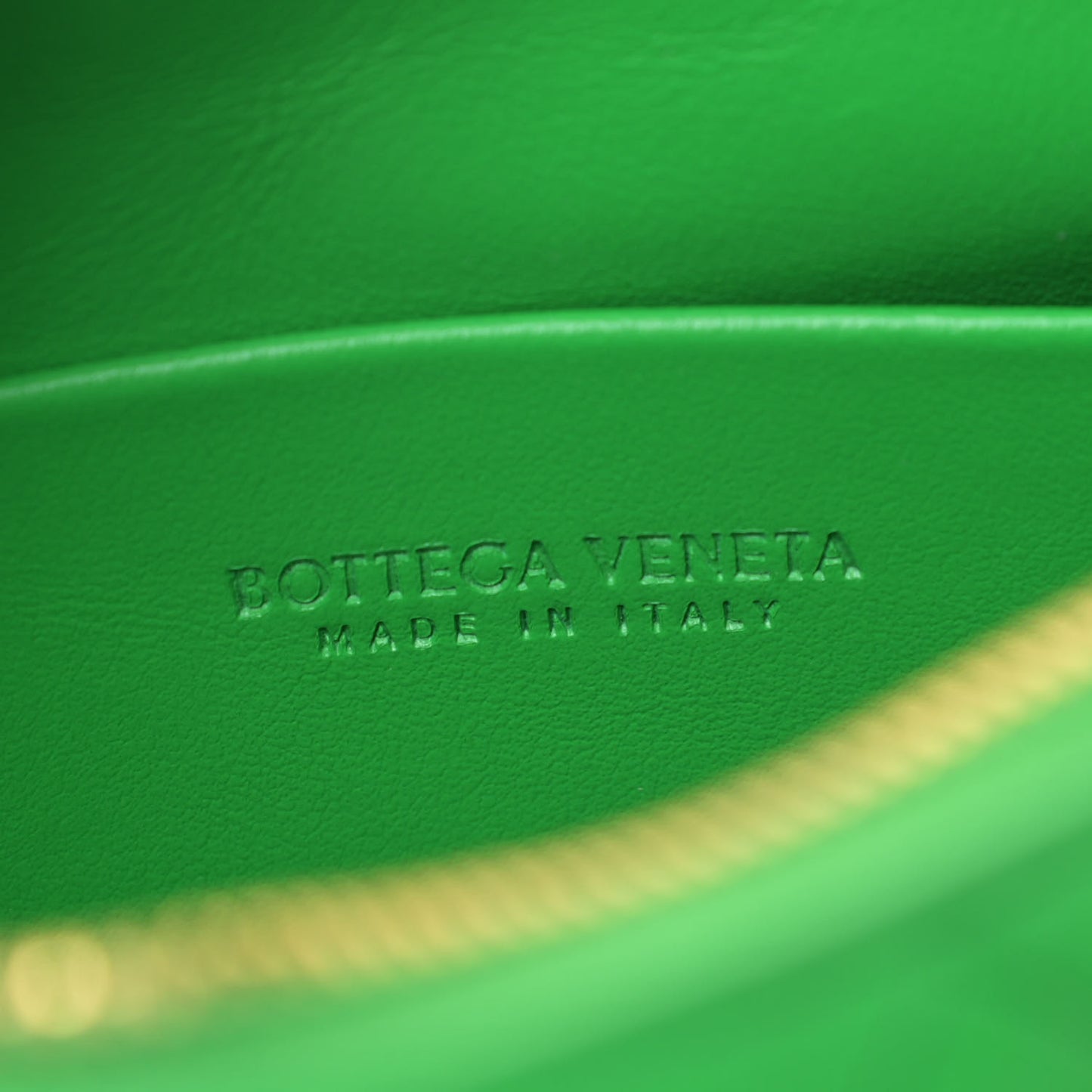 Nappa Intrecciato Mini Loop Camera Bag Parakeet