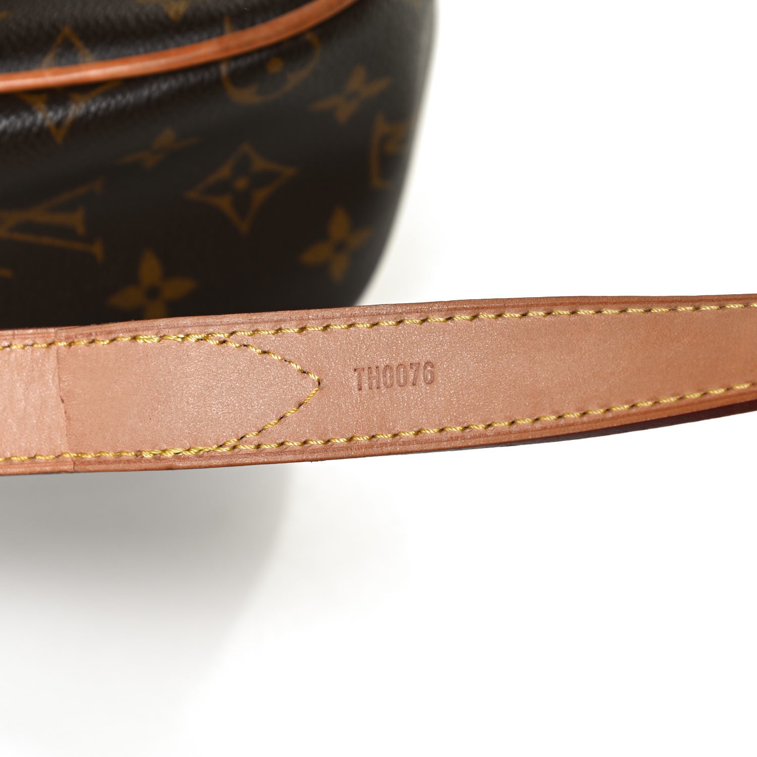Louis Vuitton Monogram Hudson GM 6 of 15