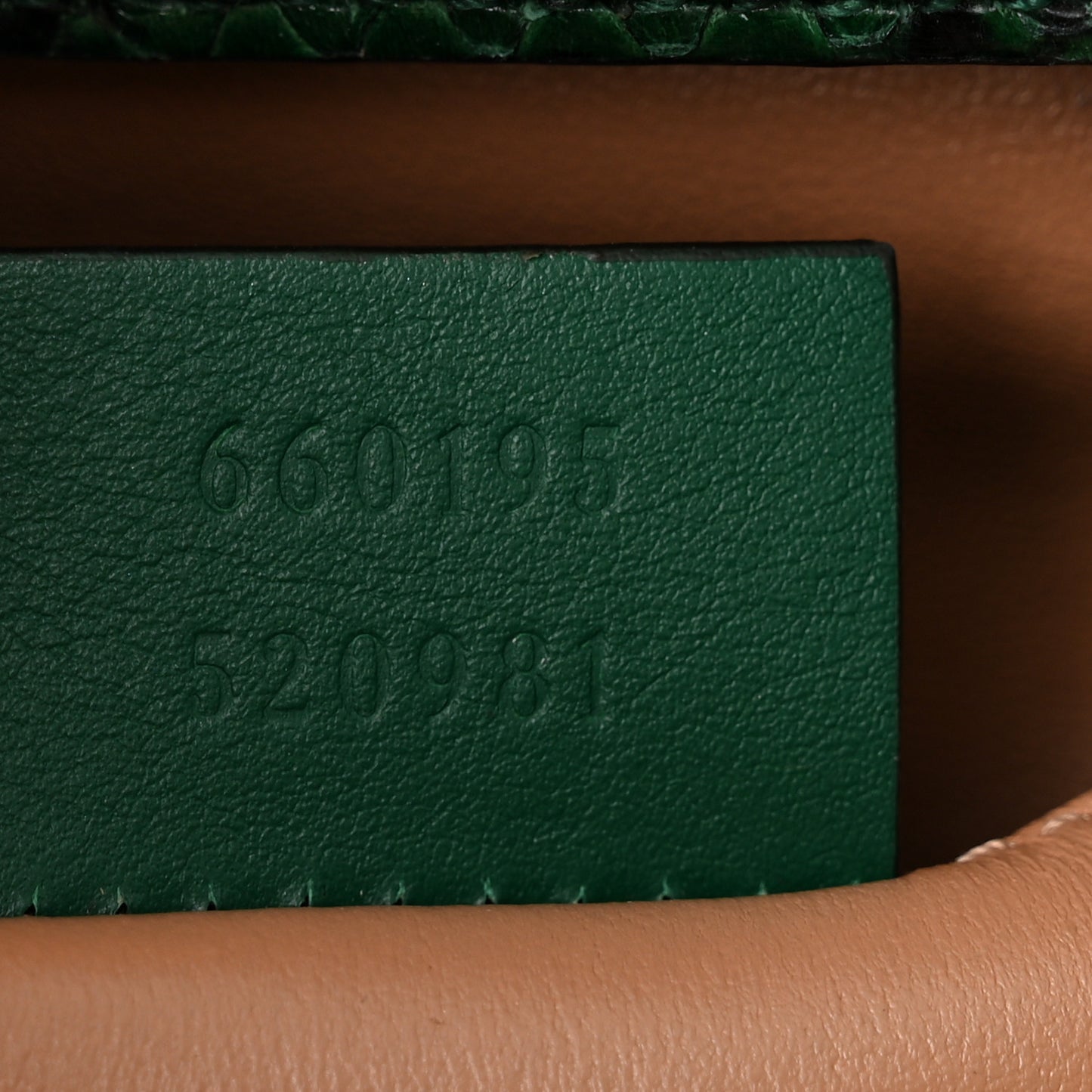 Snakeskin Small Diana Tote Green Black