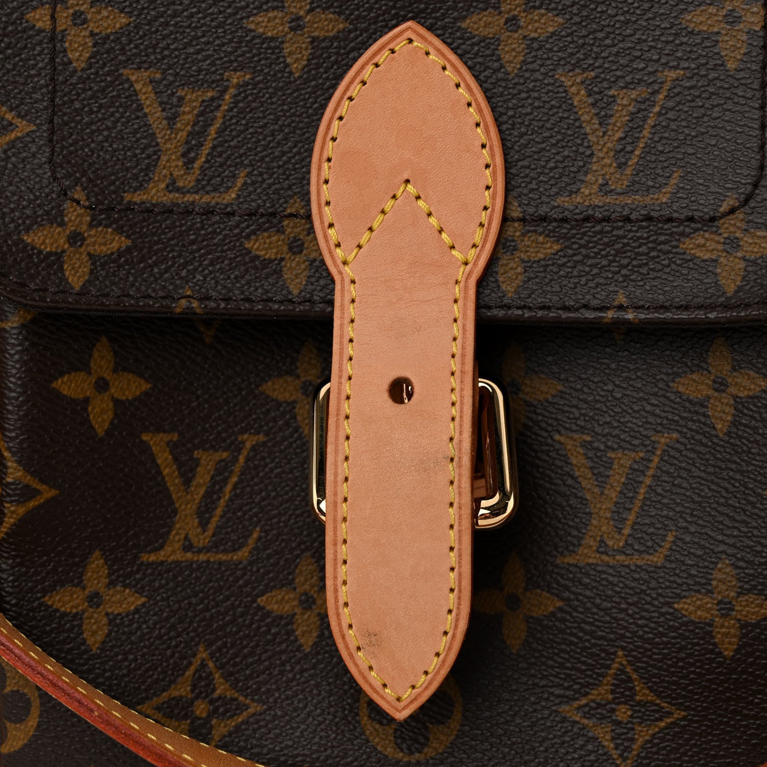 Louis Vuitton Monogram Baxter GM Dog Pet Carrier 10 of 10