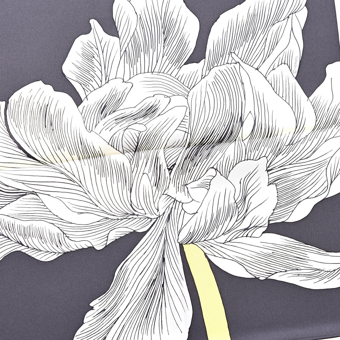 Silk Etude Pour Un Iris Arc En Ciel Scarf 90 Creme Black Bouton D'Or