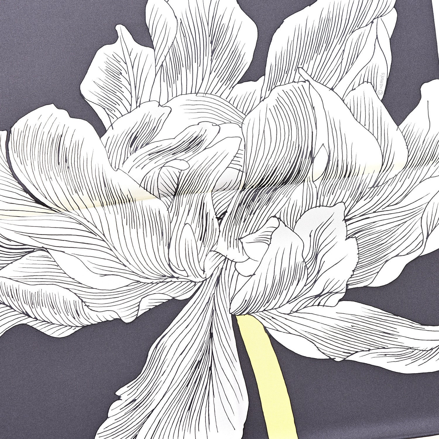Hermes Silk Etude Pour Un Iris Arc En Ciel Scarf 90 Creme Black Bouton D'Or 5 of 6