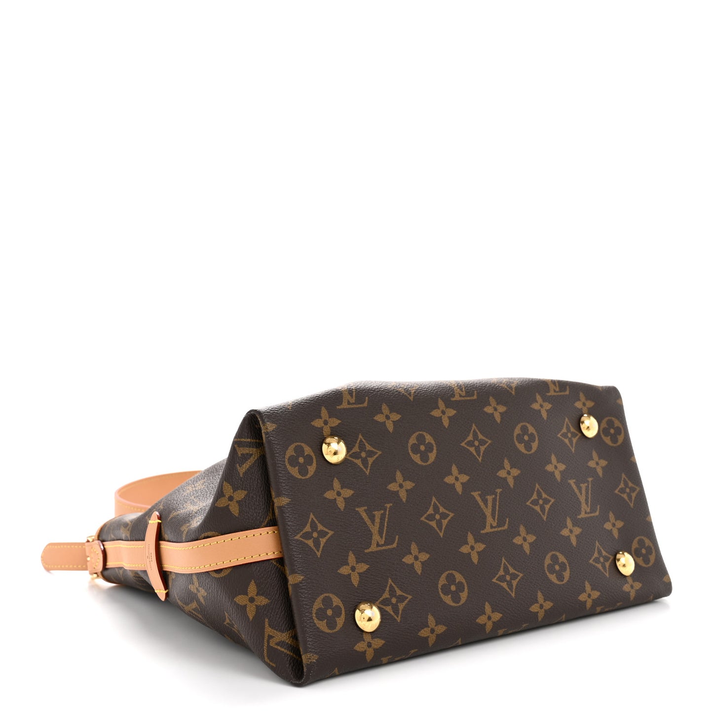 Monogram CarryAll PM
