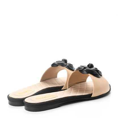 Chanel Lambskin Camellia Sandal Mule 39.5 Beige Black 7 of 16