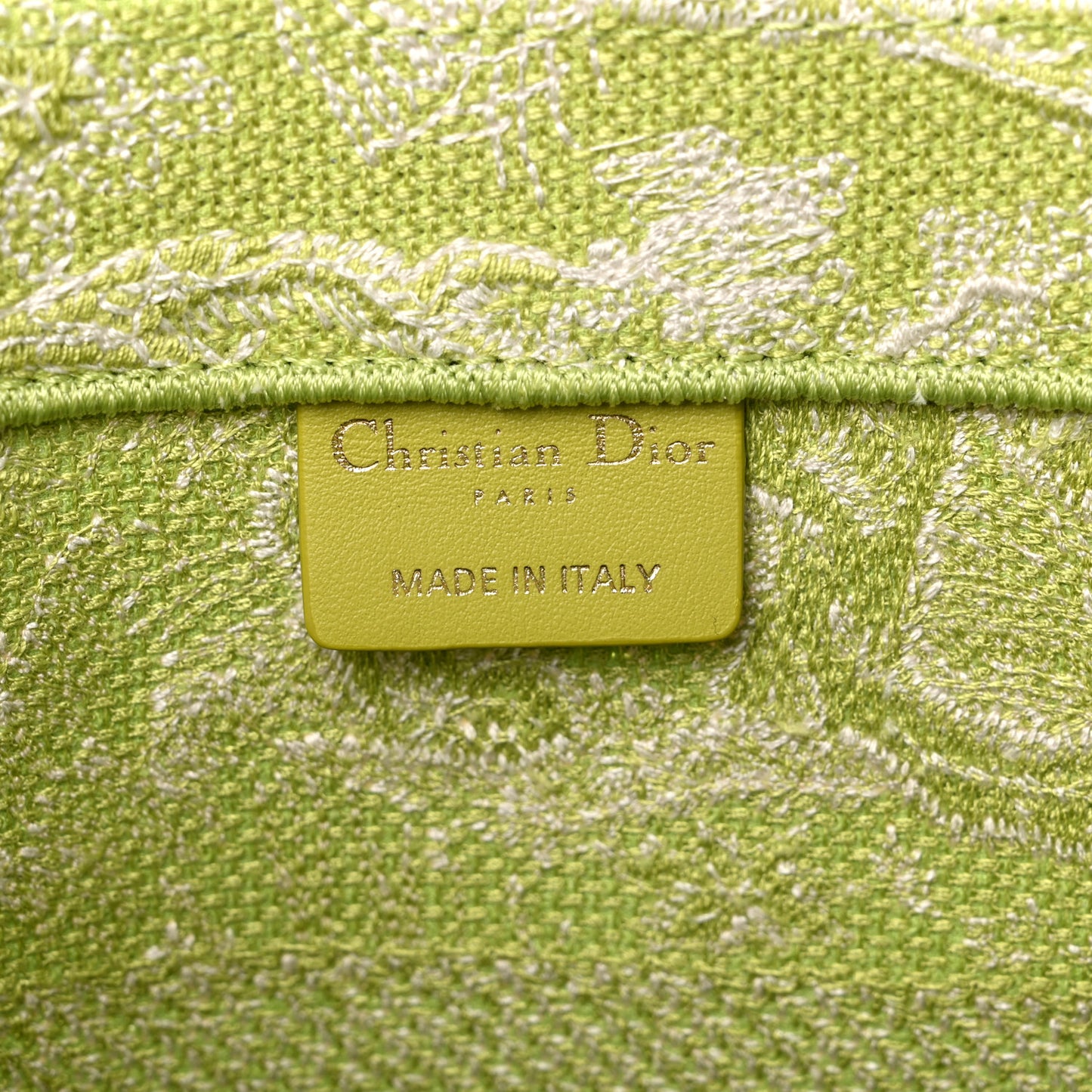 Canvas Embroidered Medium Dioriviera Toile De Jouy Book Tote D-Lite Green