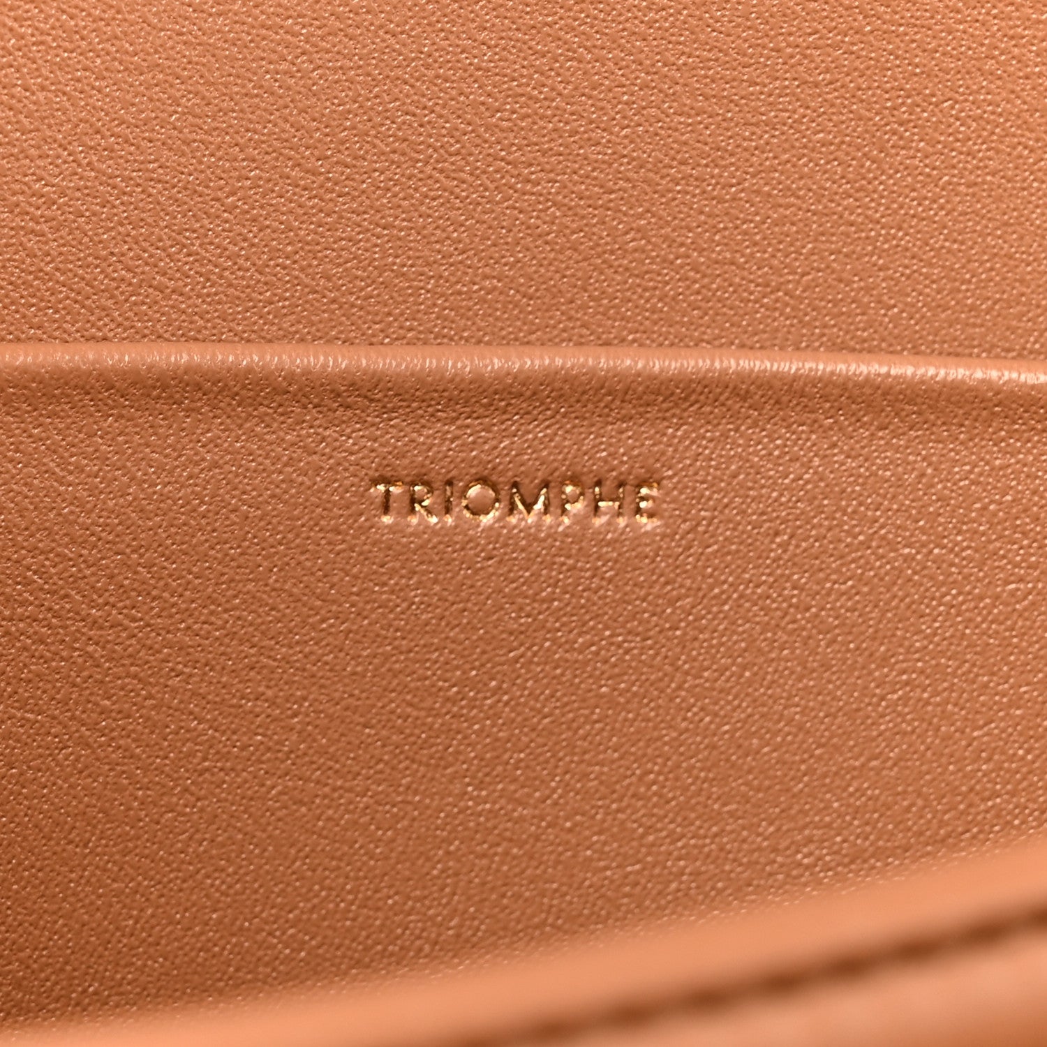 Celine Shiny Calfskin Medium Triomphe Bronze 6 of 15