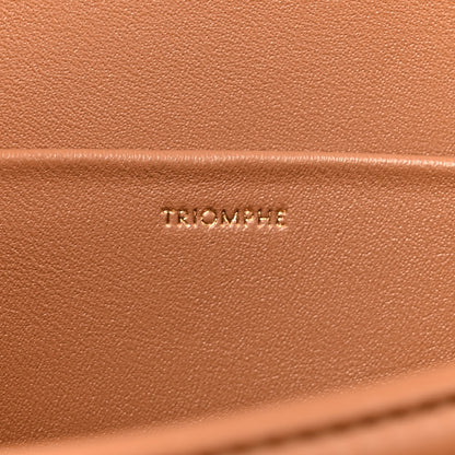 Celine Shiny Calfskin Medium Triomphe Bronze 6 of 15