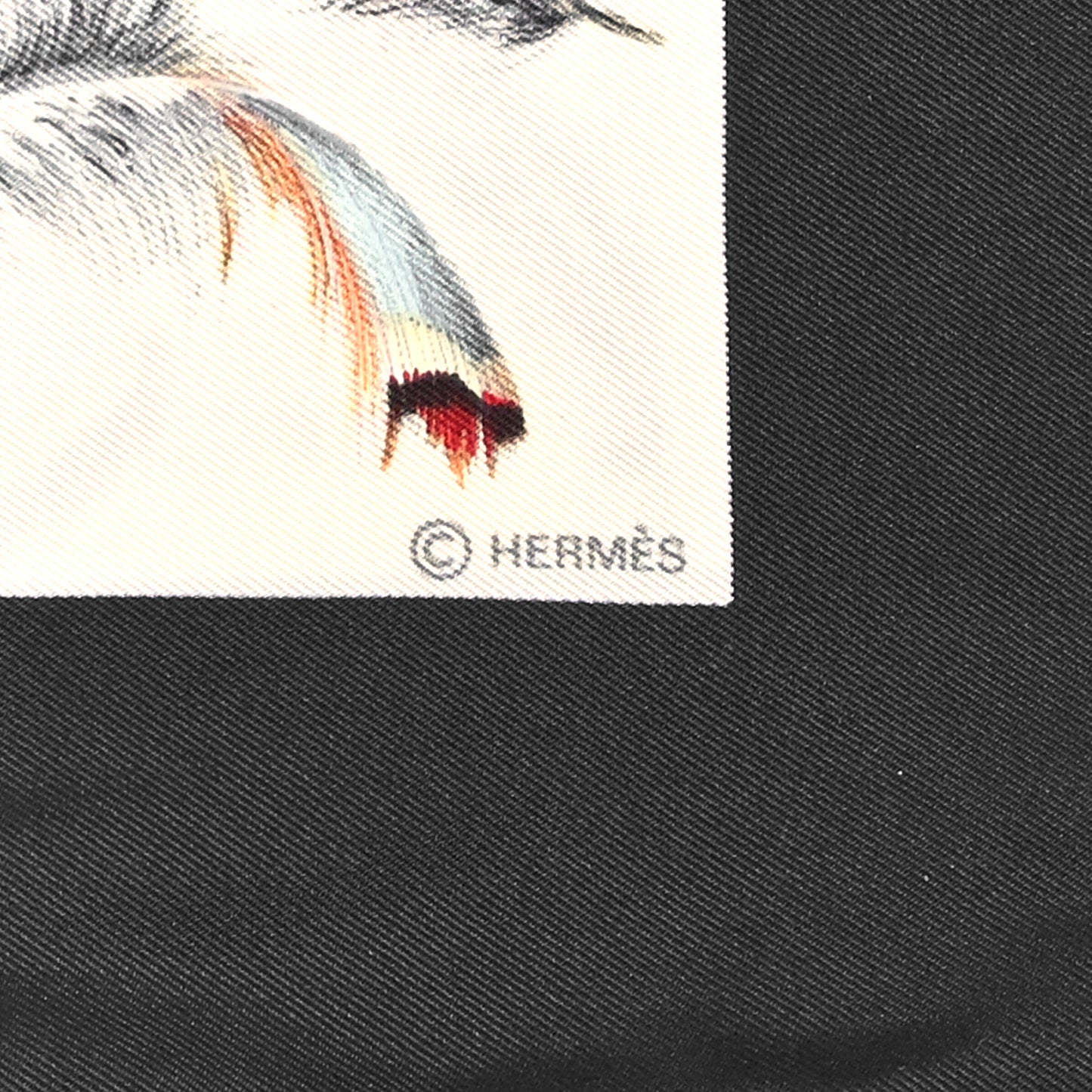 Cashmere Silk Plumes par Henri de Linares Scarf 90