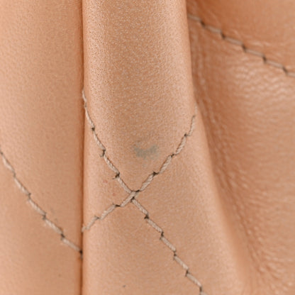 Chanel Iridescent Lambskin Quilted Round Handle Mini Flap Beige 12 of 12
