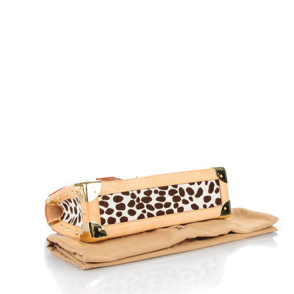 Louis Vuitton Monogram Multicolor Dalmatian Sac Rabat 4 of 10