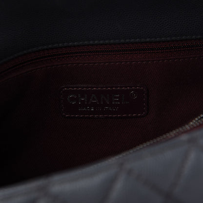 Chanel Caviar Quilted Small Coco Handle Flap Gray 8 of 10