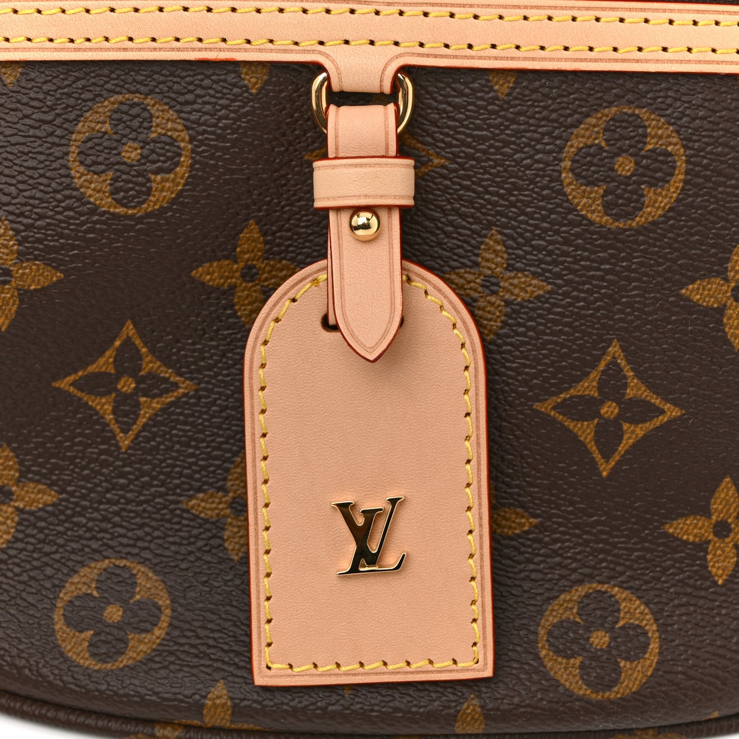 Monogram High Rise Bumbag