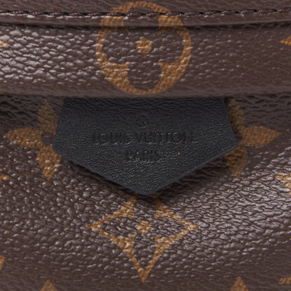 Louis Vuitton Monogram Palm Springs Backpack Mini 7 of 8