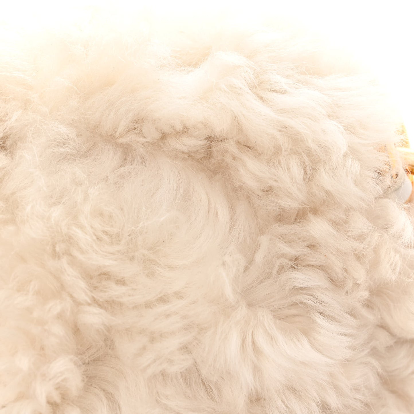 Shearling Lambskin The Pouch Chain White