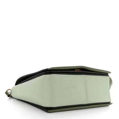 Celine Shiny Smooth Calfskin Medium Frame Shoulder Bag Pastel Green 4 of 14