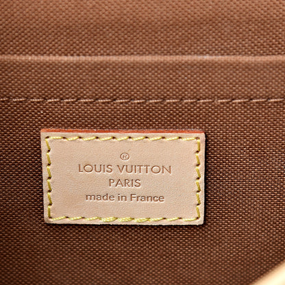 Louis Vuitton Monogram Sologne 5 of 13