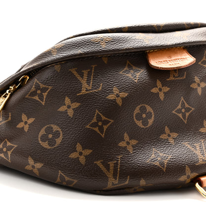 Louis Vuitton Monogram Bumbag 8 of 9