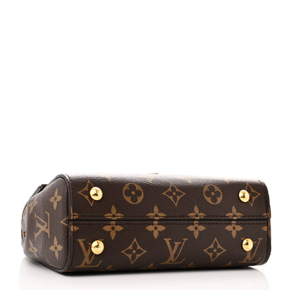 Louis Vuitton Monogram Mini Cluny 4 of 14