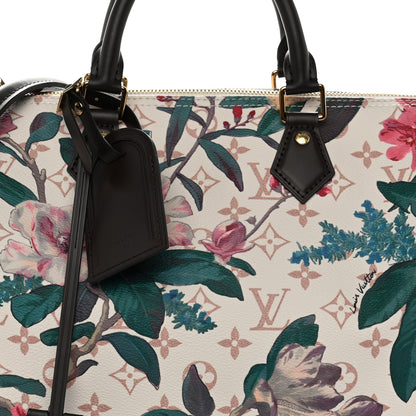Louis Vuitton Monogram Dune Eden Speedy Soft 30 6 of 8