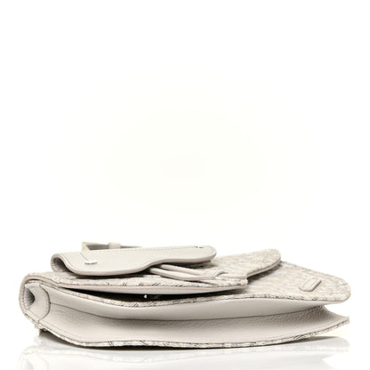 Christian Dior Oblique Saddle Messenger Pouch Beige 3 of 10