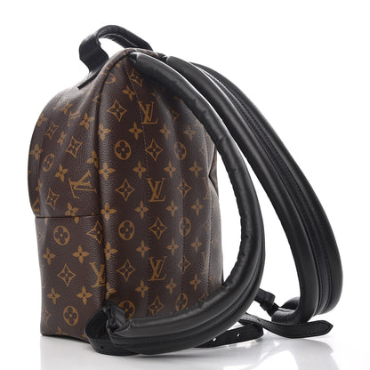 Louis Vuitton Monogram Palm Springs Backpack PM 3 of 7