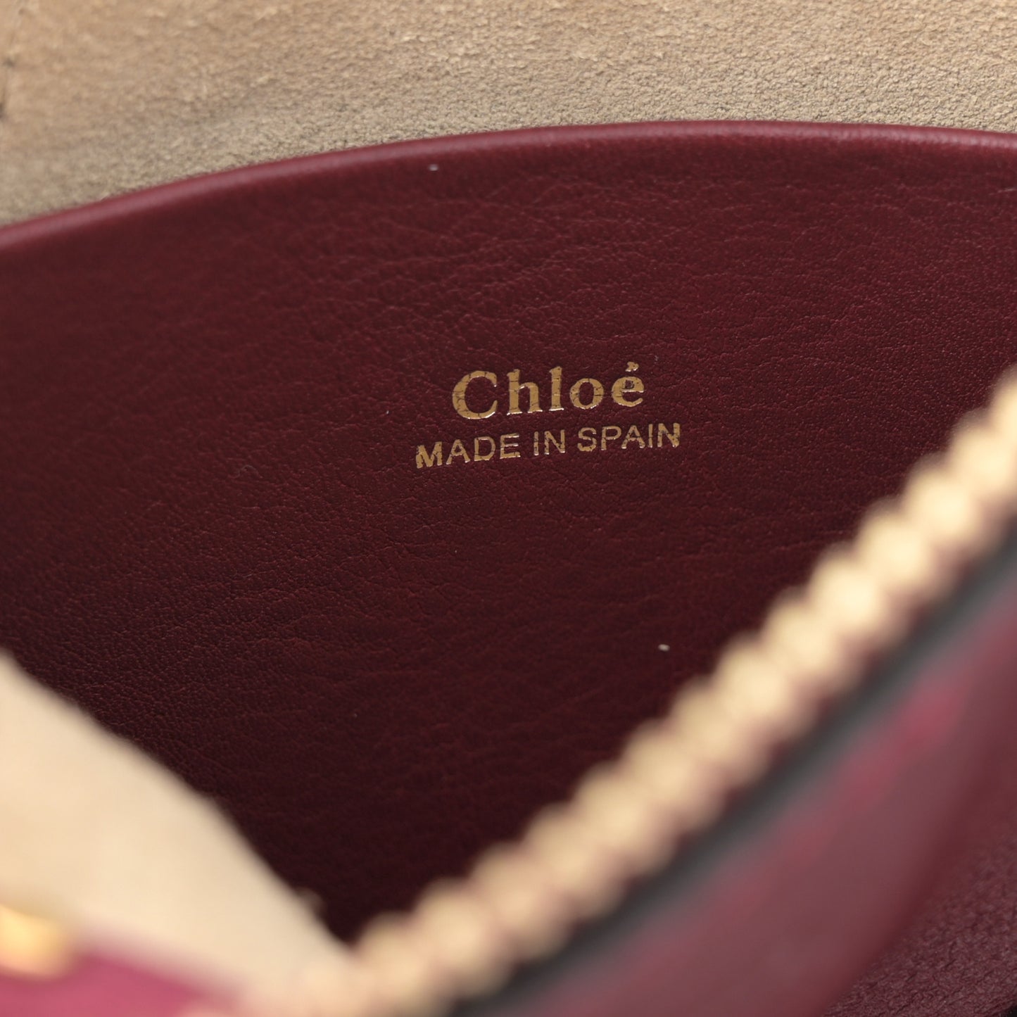 Grained Calfskin Nano Hayley Hobo Red