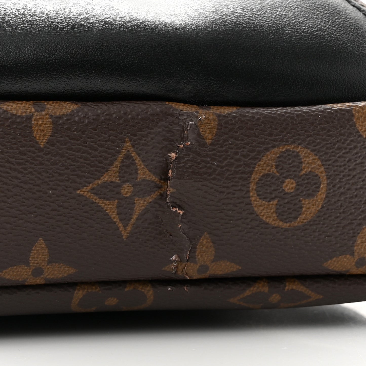 Monogram Macassar Avenue Sling Bag