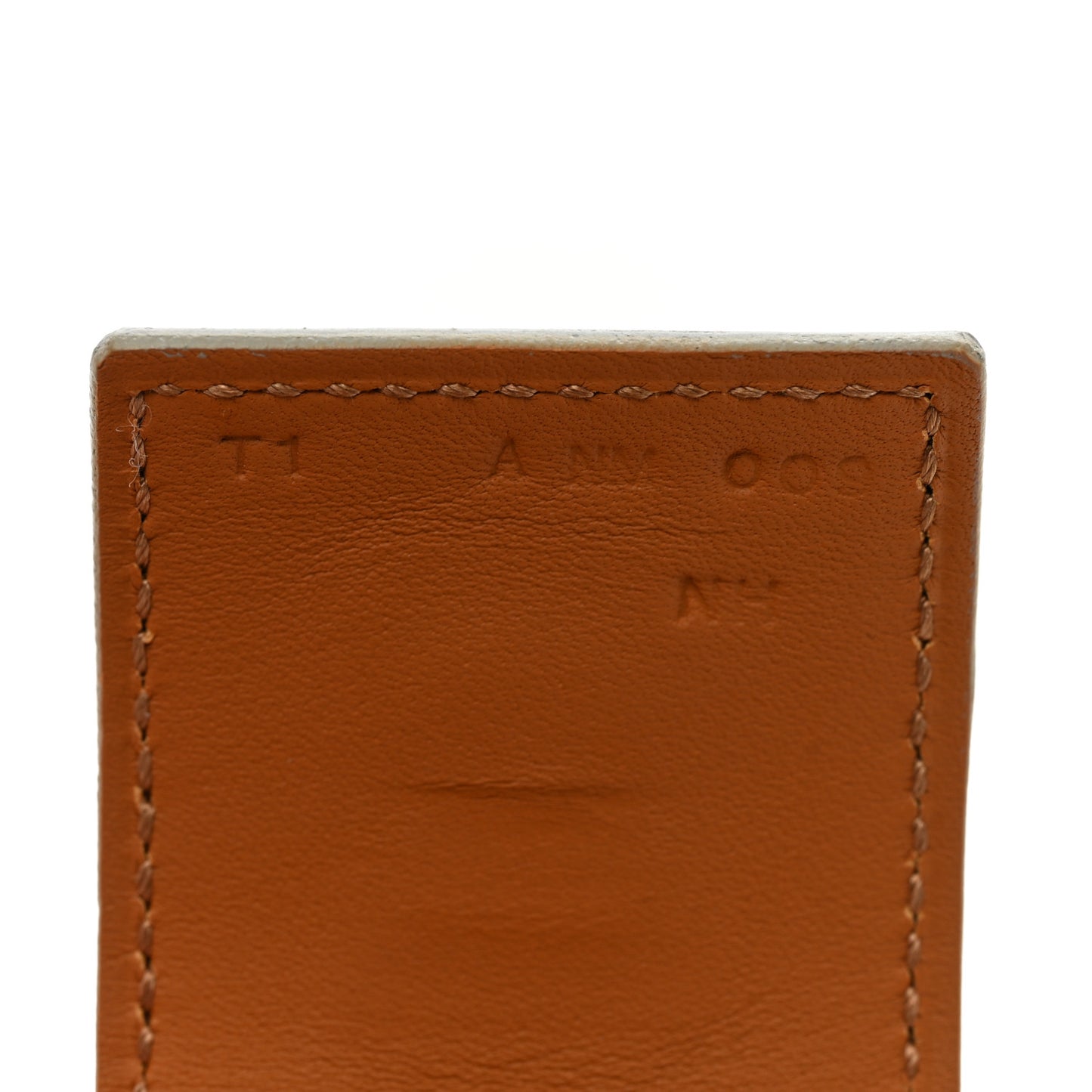 Swift Collier de Chien CDC Bracelet T1 Beton