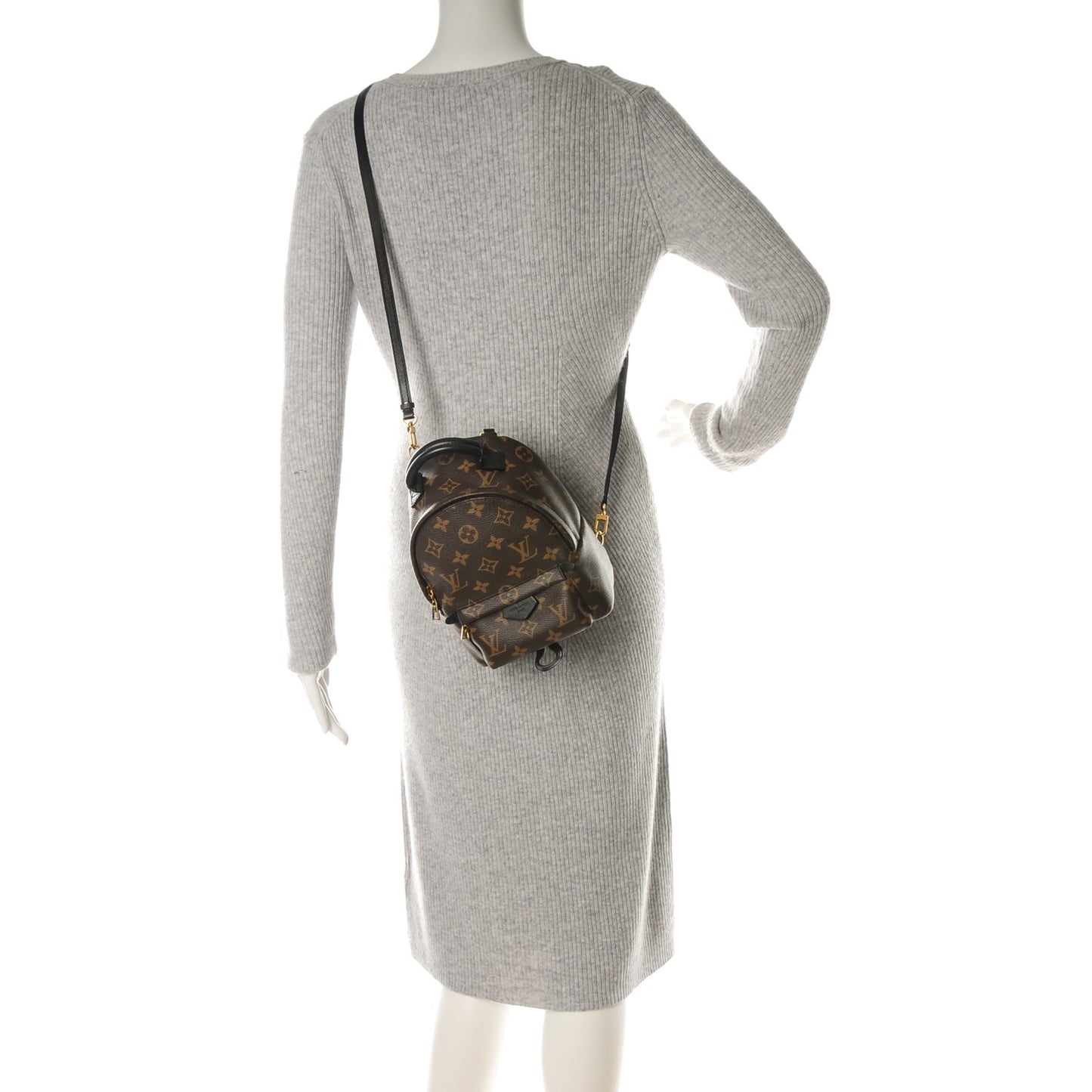 Monogram Palm Springs Backpack Mini