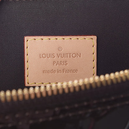 Louis Vuitton Vernis Alma PM Amarante 9 of 12