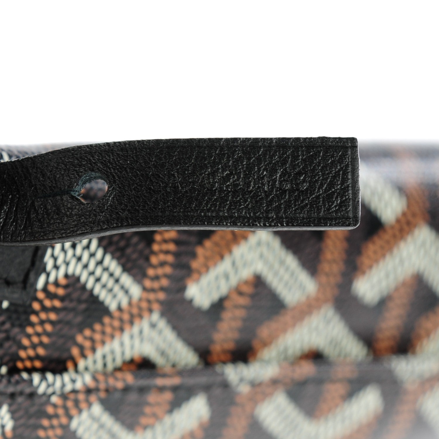 Goyard Goyardine Saint Louis PM Black 10 of 10