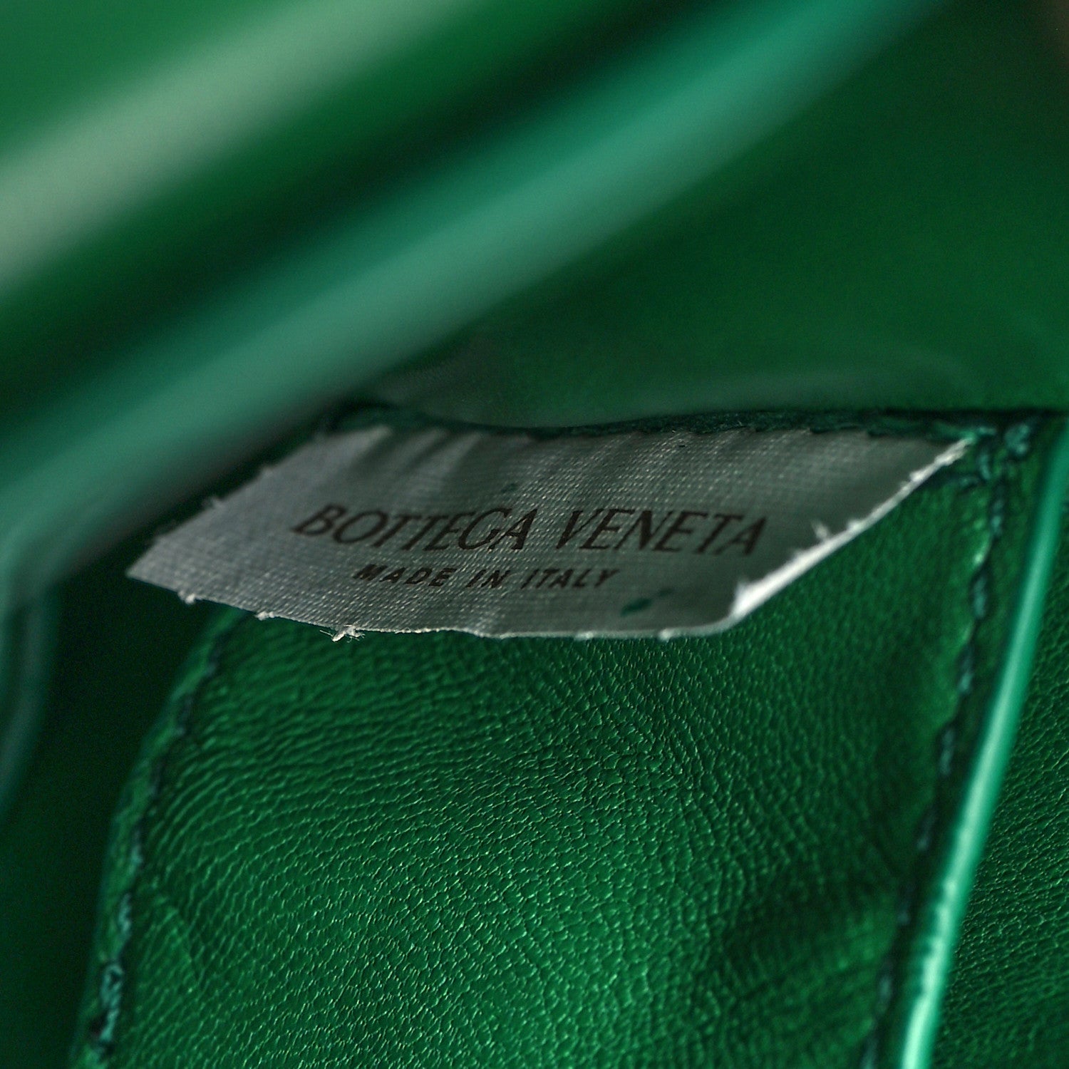 Bottega Veneta Calfskin Mount Envelope Bag Jungle 6 of 6