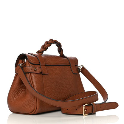 Mulberry Heavy Grain Mini Alexa Chestnut 3 of 12