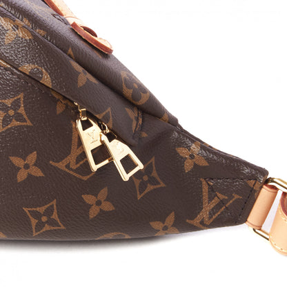 Louis Vuitton Monogram Bumbag 8 of 13